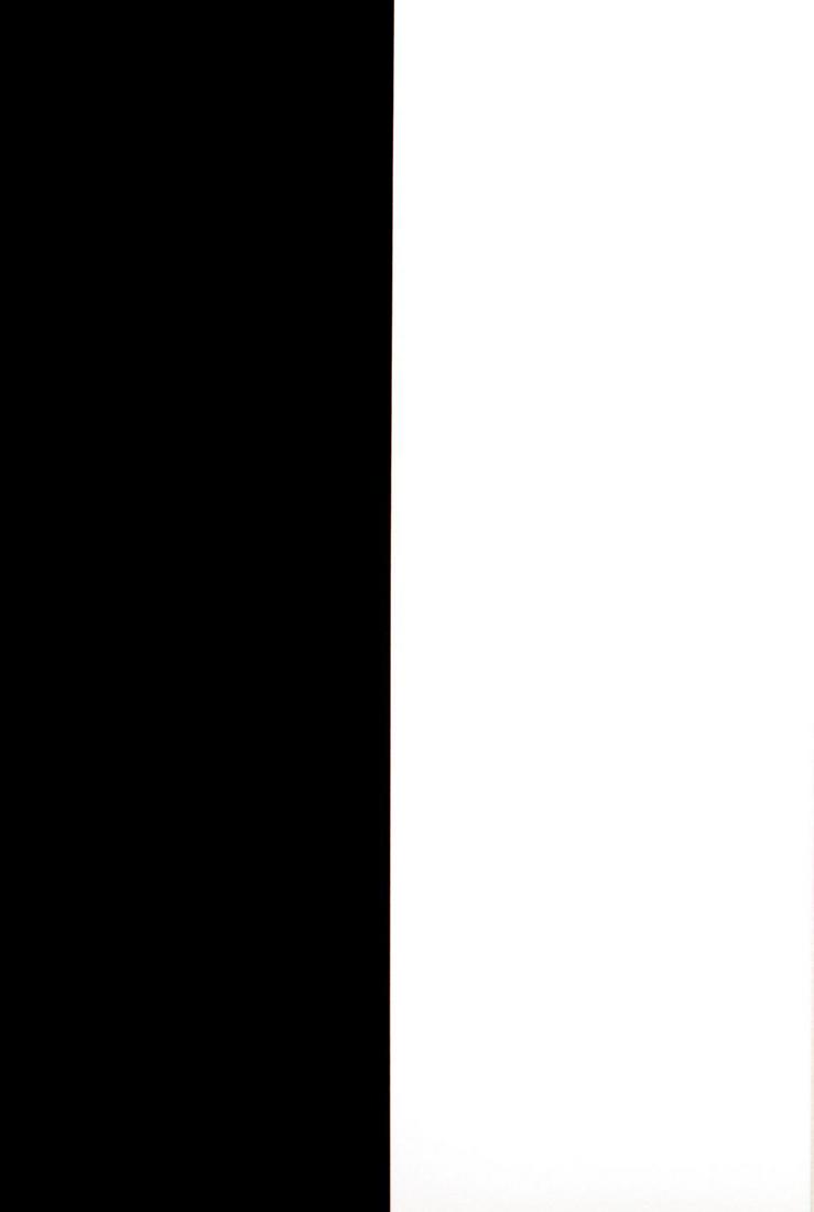 Ellsworth Kelly - Untitled VIII from "Un Coup de Des" (1 of 1)