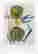 item-128093323=1