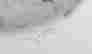 item-129702691=2