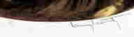 item-129703579=3