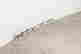 item-129703579=4