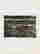 item-131128319=1