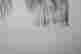 item-131138133=3