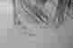 item-131138133=4