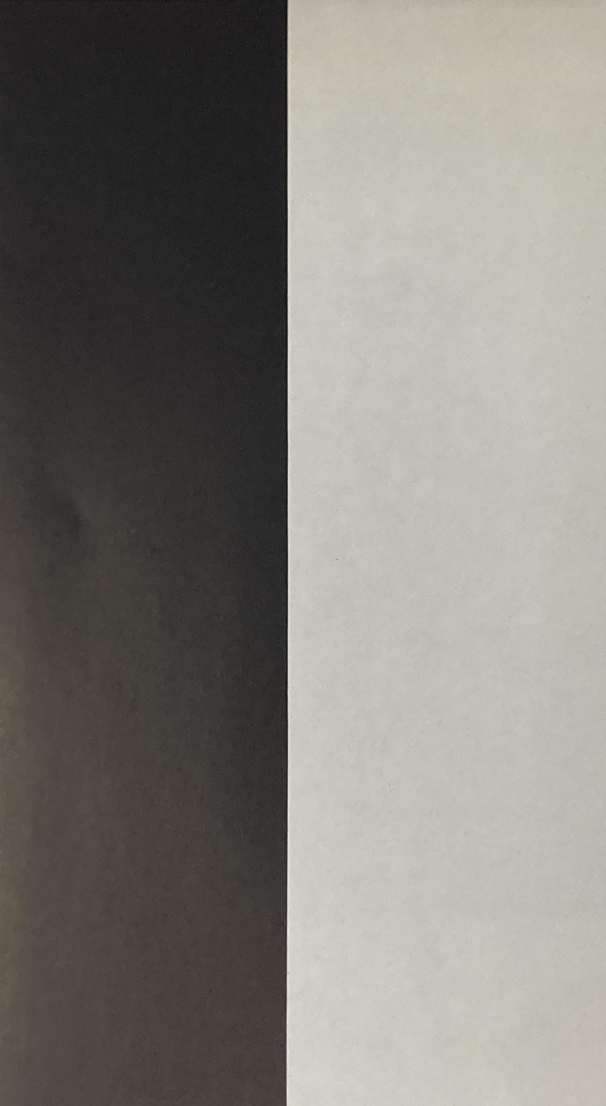 Ellsworth Kelly - Black White (1 of 1)