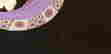 item-134678072=2