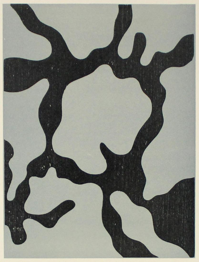 Jean Arp - Relief II: Artist: Jean Arp Title: Relief II Year: 1954 Dimensions: 9 5/8in. by 12 1/4in. Edition: From the Rare Limited Edition of 1500 Publisher: G. di San Lazzaro <