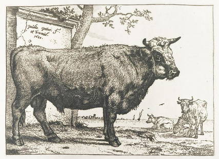 Paulus Potter - The Bull: Artist: Paulus Potter Title: The Bull Year: 1880 Dimensions: 12in. by 8in. Edition: From the Rare Limted Edition Publisher: MacMillan and Co. Suite:<