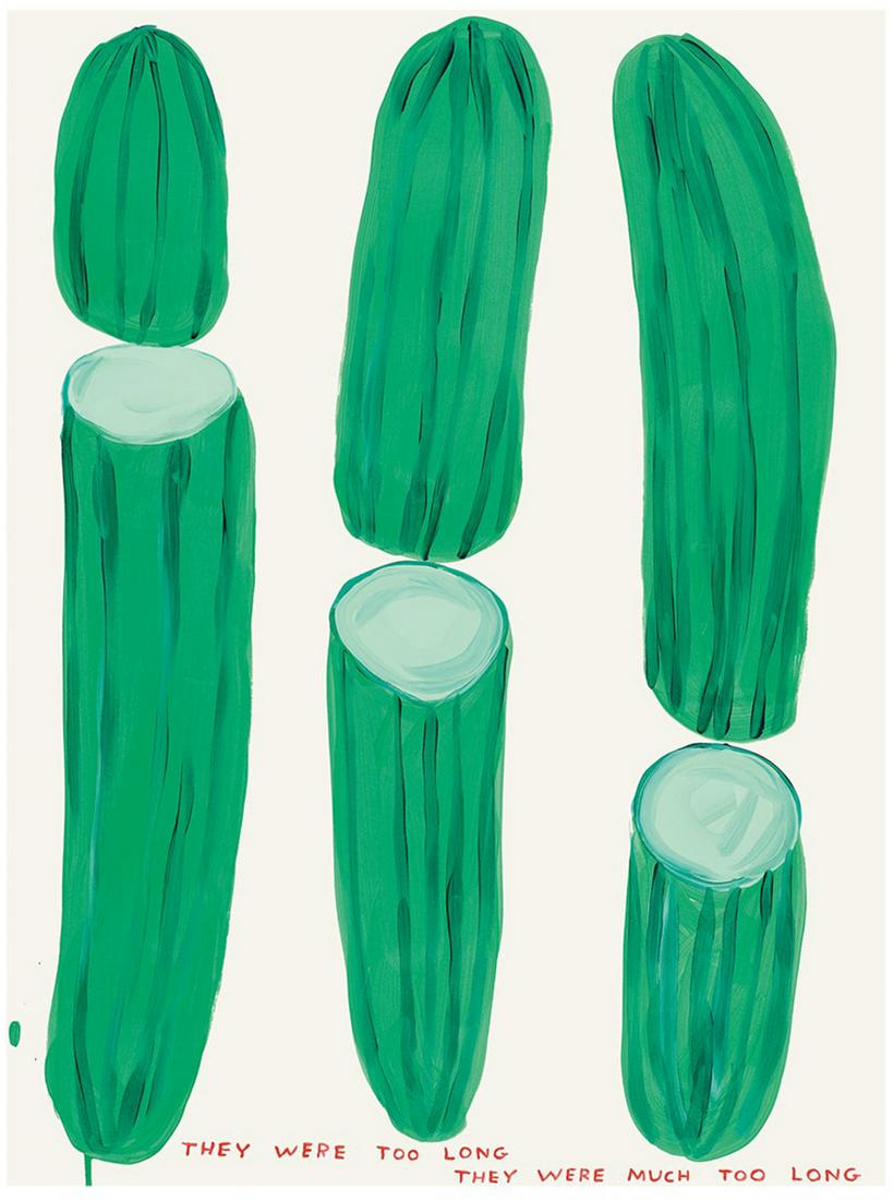 David Shrigley - They Were Too Long (1 of 1)