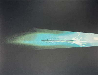 Cornelia Parker - A Feather from Freud's Pillow: Artist: Cornelia Parker Title: A Feather from Freud's Pillow Year: 1997 Dimensions: 20.5in. by 25in. Edition: Numbered from the rare limited edition of 100 Publishe