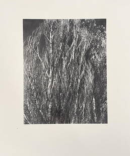 Alfred Stieglitz - Poplars: Artist: Alfred Stieglitz Title: Poplars Year: 1947 Dimensions: 16 1/8in. by 12in. Edition: Numbered from the rare limited edition of 1500 Publisher: Twice a Yea