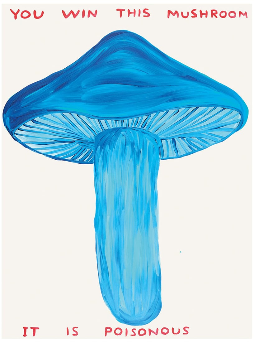David Shrigley - You Win This Mushroom: Artist: David Shrigley Title: You Win This Mushroom Year: 2021 Dimensions: 23 5/8in. by 31 1/2in. Publisher: Shrig Shop Medium: Offset Lithograph in Colors on 2
