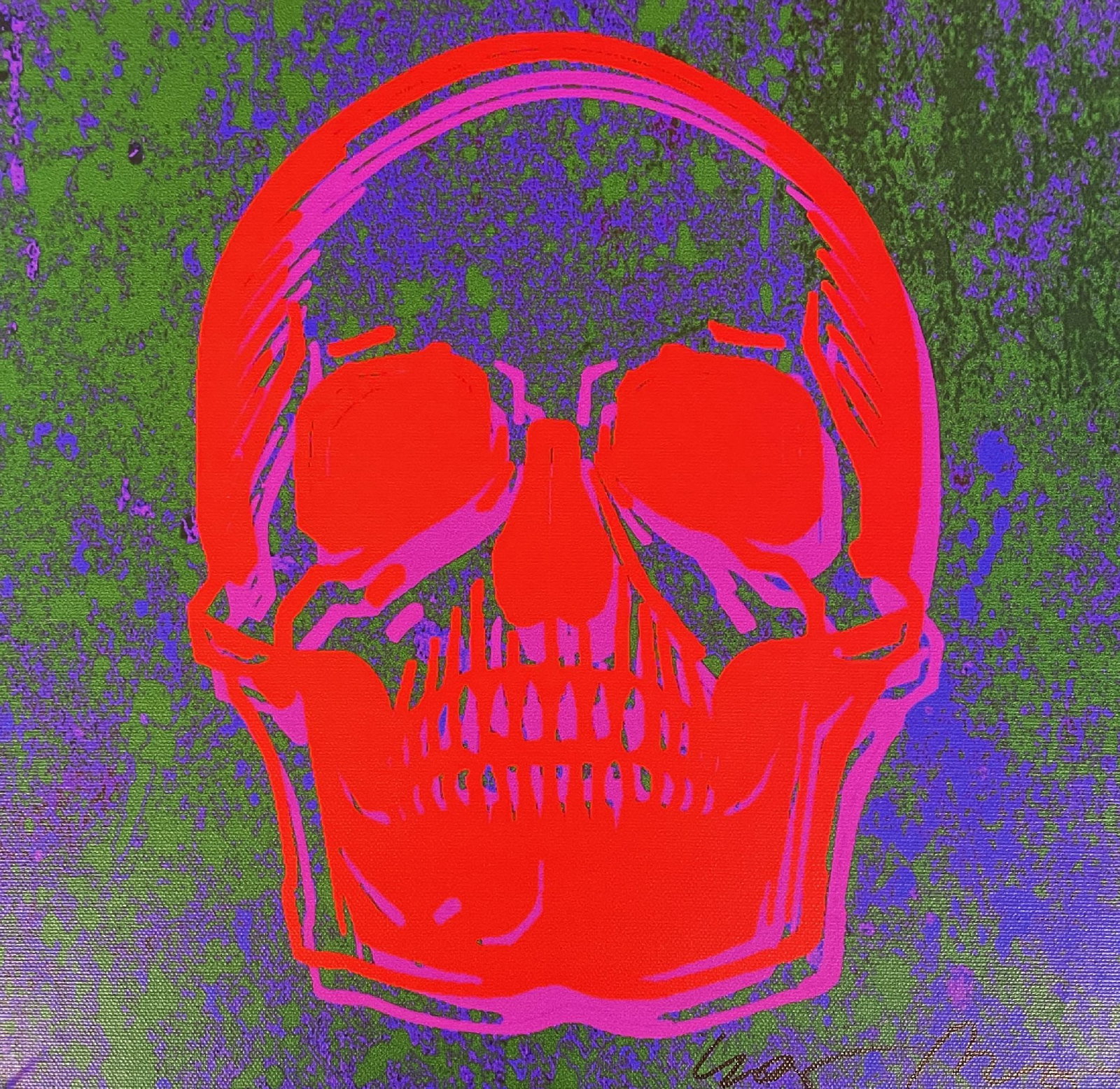 Wes David - Skull 2 (1 of 1)