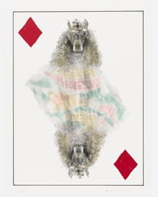 William Wegman - Queen of Diamonds