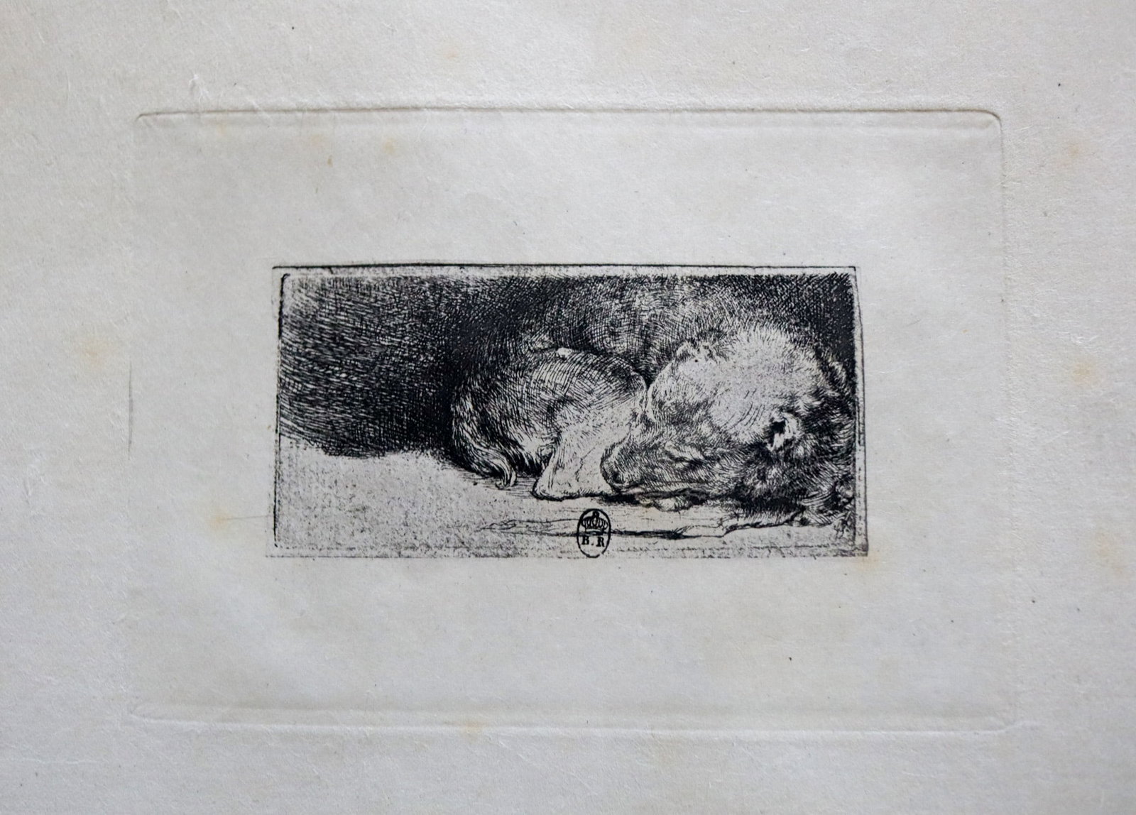 Rembrandt Harmensz van Rijn (after) - Sleeping Puppy (1 of 1)