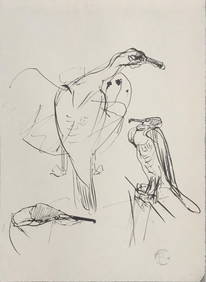 Henri Toulouse-Lautrec (After) - Sea Birds (1 of 1)