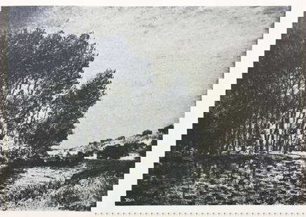 Alfred Sisley (After) - Les Peupliers: Artist: Alfred Sisley (After) Title: Les Peupliers Year: 1906 Dimensions: 10in. by 7 3/4in. Edition: From the rare limited edition Publisher: H. Floury Paris