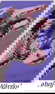 Andy Warhol - Cow (F. & S. II.12A)