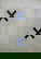 item-209048342=2