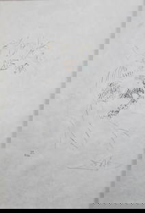 Salvador Dali - Henry IV: Artist: Salvador Dali Title: Henry IV Year: 1971 Dimensions: 17.5in. by 12.5in. Edition: Numbered 51 from the rare limited edition of 250 in pencil lower left Publi