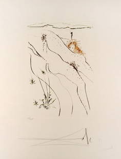 Salvador Dali - Le tonneau: Artist: Salvador Dali Title: Le tonneau Year: 1972 Dimensions: 18in. by 12.2in. Edition: From the limited edition of 124 Publisher: Transworld Art New York City