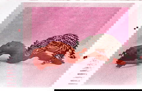 Mel Ramos - Ocelot: Artist: Mel Ramos Title: Ocelot Year: 1969 Dimensions: 26in. by 40in. Edition: From the rare limited edition Medium: Original lithograph on paper <