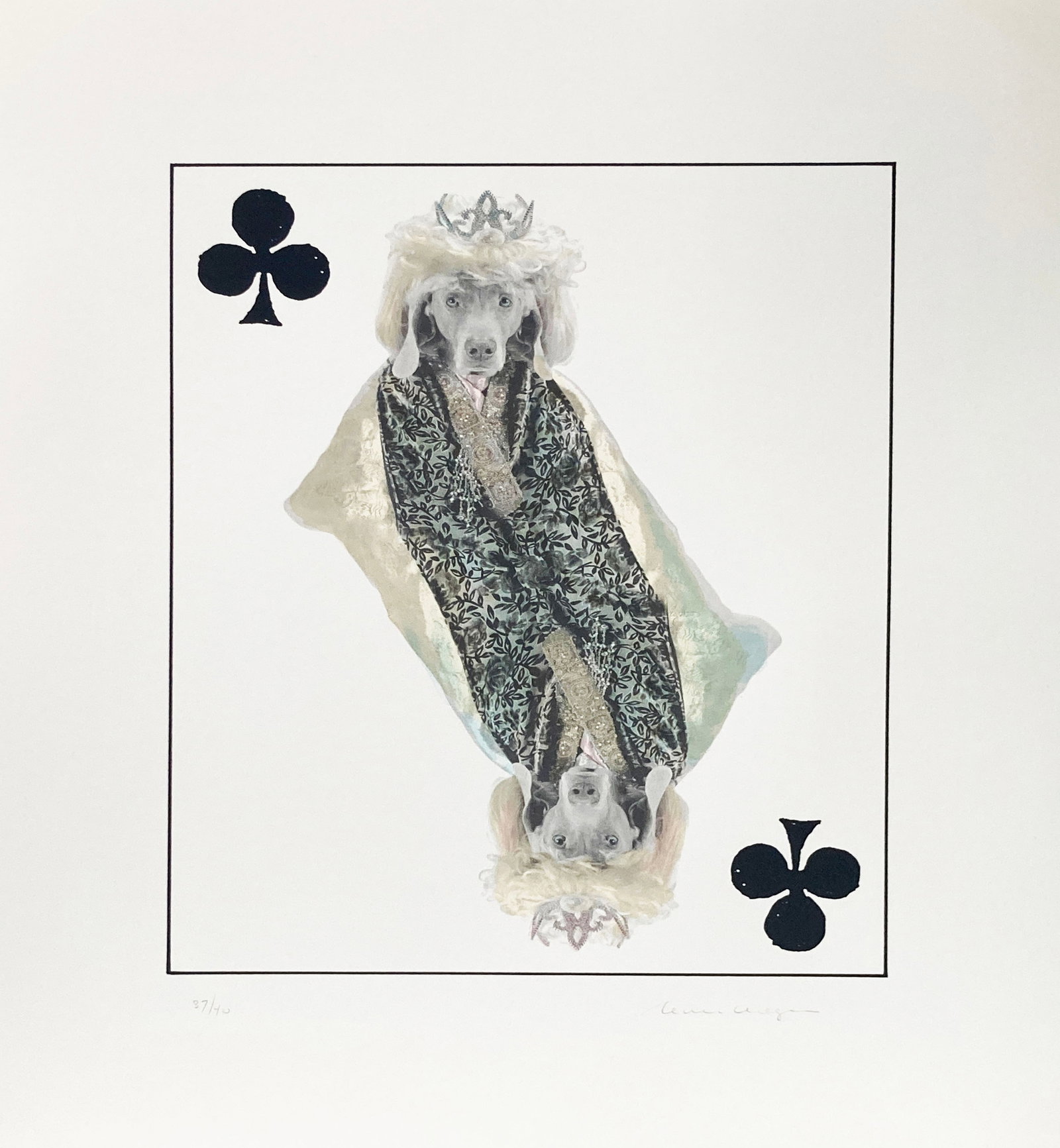 William Wegman - Royal Flush Queen (1 of 1)
