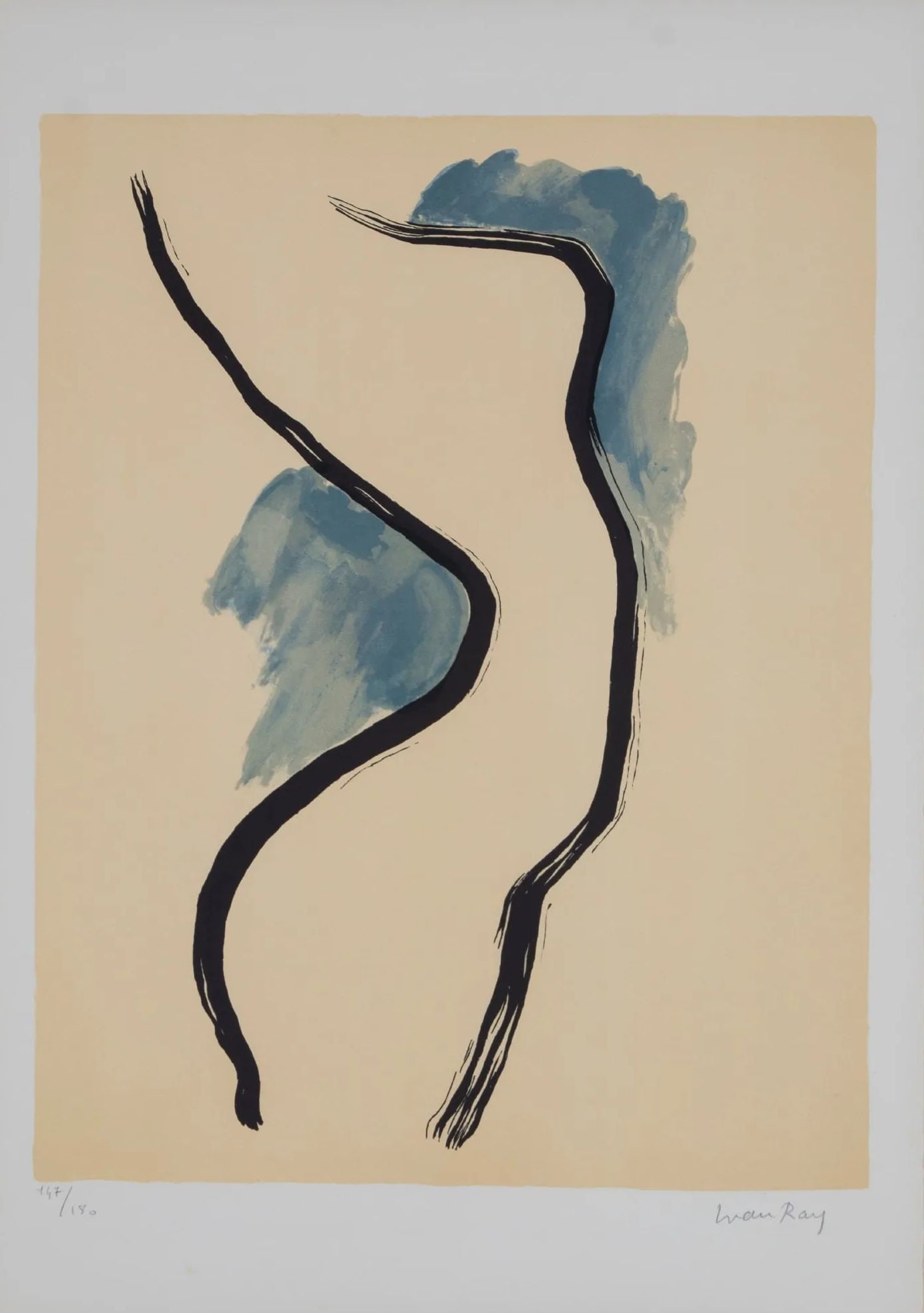 Man Ray - Untitled (from On the Origin of Species by Irrational Selection): Artist: Man Ray Title: Untitled (from On the Origin of Species by Irrational Selection) Year: 1971 Dimensions: 20 x 14 1/4 in. Edition: from the rare limited edition of 182
