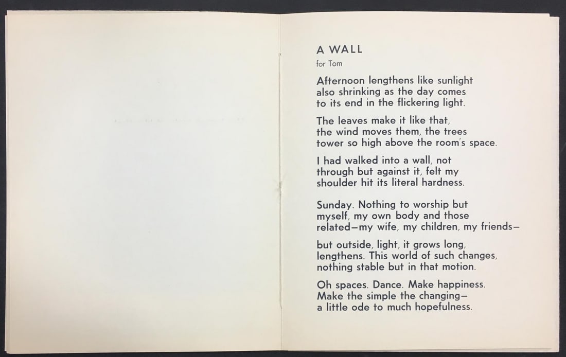 William Katz - A Wall - 2