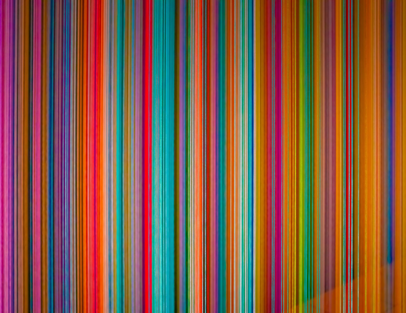 Matthew Steinberg - Lines (16 x 20) (1 of 1)