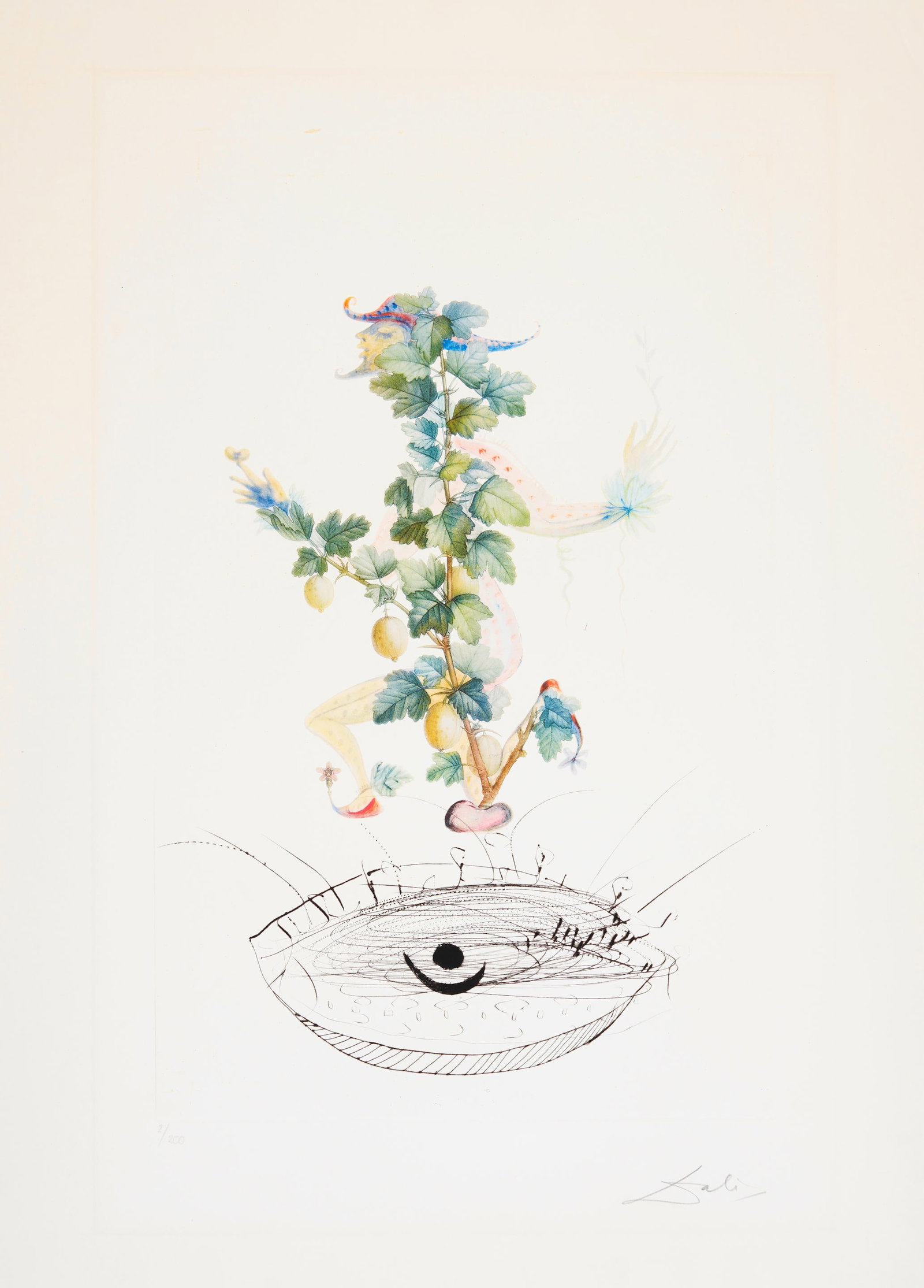 Salvador Dali - Reverence de Grosillier (Gooseberry) (1 of 1)