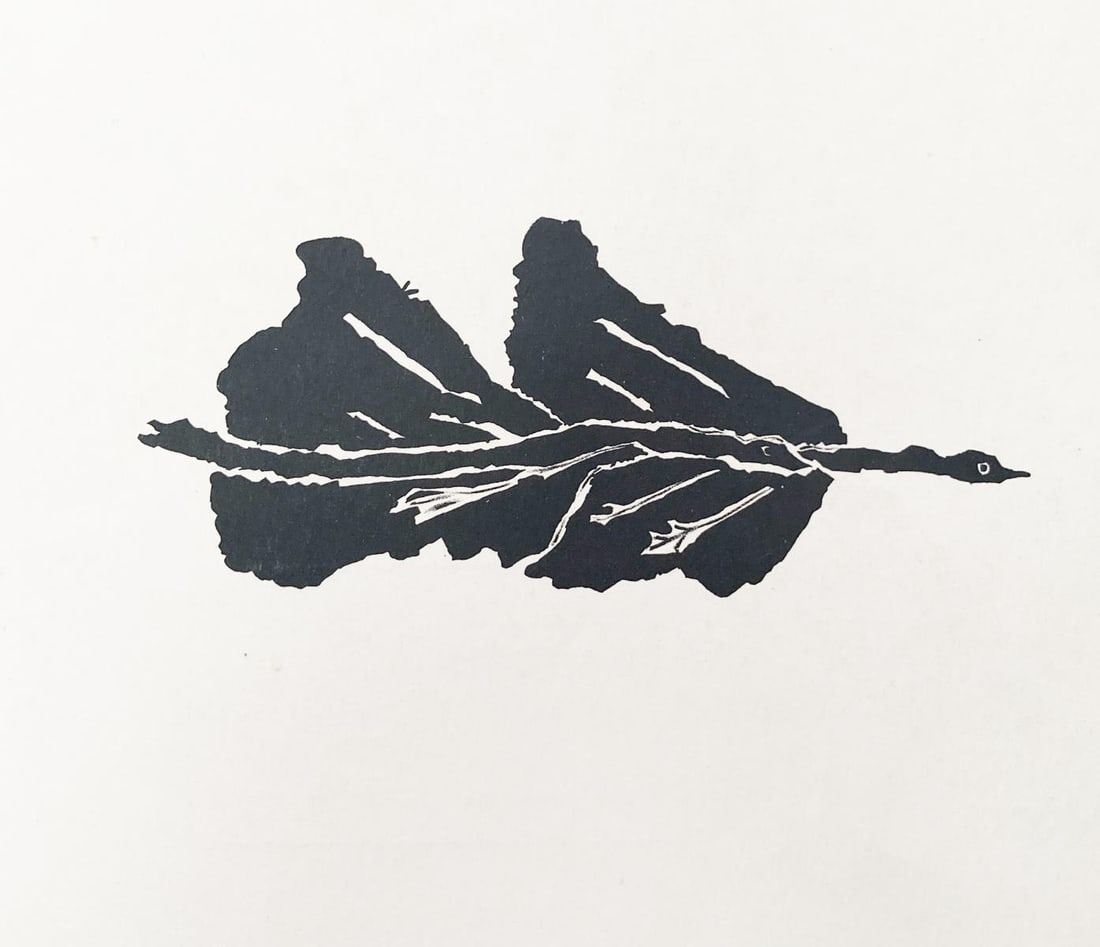 Goerges Braque - Oiseaux Noir: Artist: Goerges BraqueTitle: Oiseaux NoirYear: 1960Dimensions: 15in. by 11in.Edition: From the rare limited editionPublisher: Maeght EditeurSuite: Derriere Le MiroirMedium: Color lithograph on