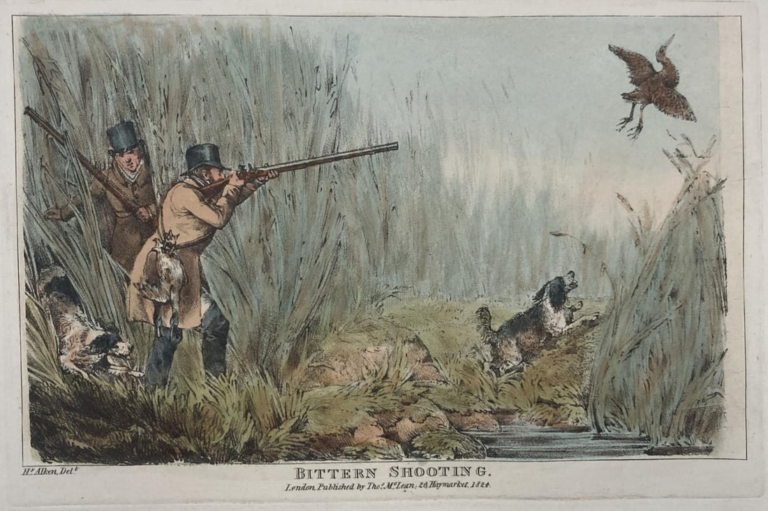 Henry Alken - Bittern Shooting: Artist: Henry AlkenTitle: Bittern ShootingYear: 1825Dimensions: 10in. by 14.Edition: From the Rare Limited EditionPublisher: Howlett and BrimmerSuite: The National Sports of Great BritainMedium: