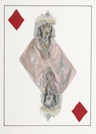 William Wegman - King of Diamonds (1 of 1)