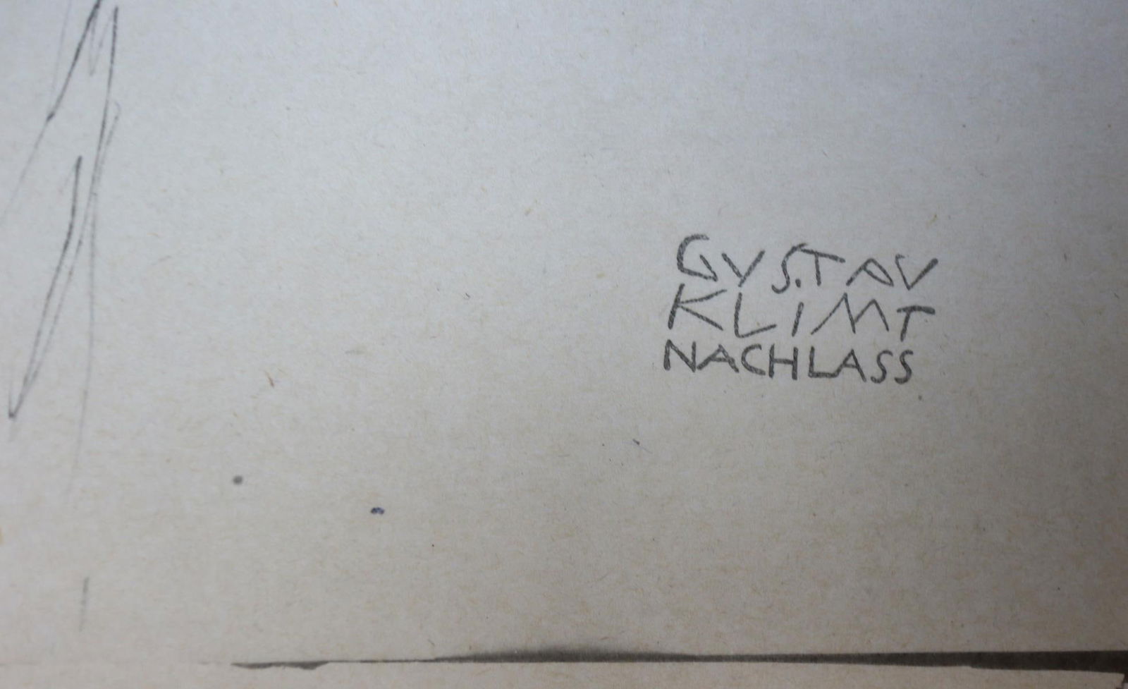 Caterpillar Cocoon - 2