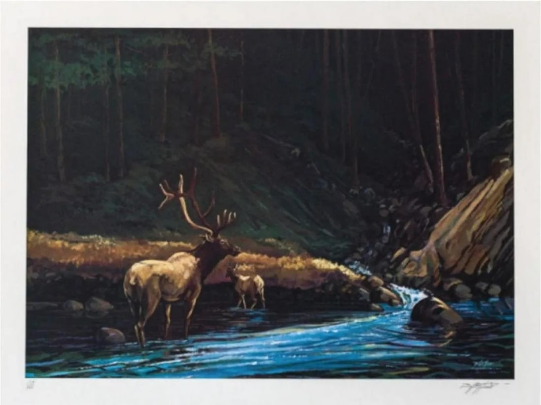 Bill Elliott - The Old bull (1 of 1)