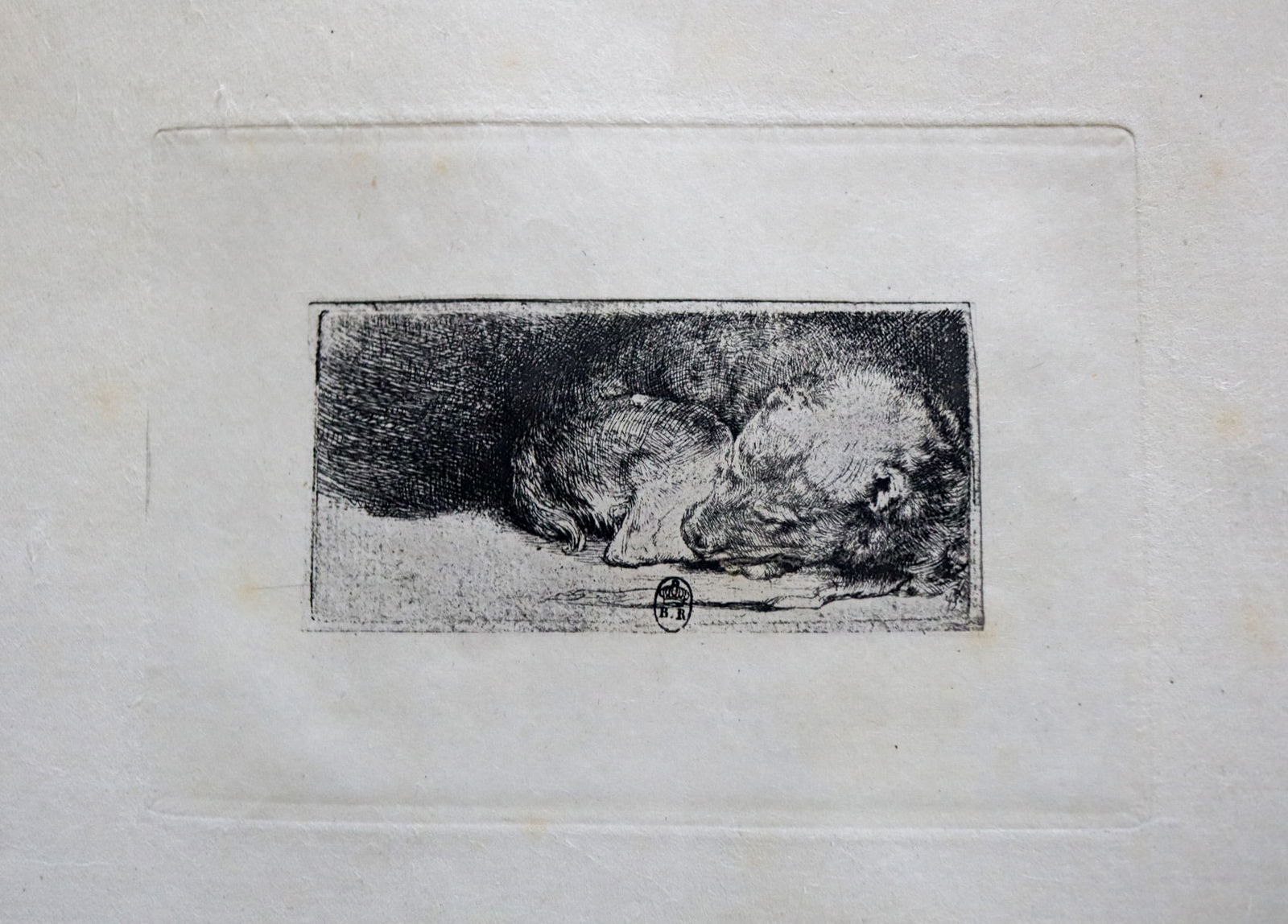 Rembrandt Harmensz van Rijn (after) - Sleeping Puppy: Artist: Rembrandt Harmensz van Rijn (after)Title: Sleeping PuppyDimensions: 5 x 3 1/2 in.Edition: From the rare limited editionSuite: The Works of Rembrandt Blanc TomeMedium: Original Heliogravure on