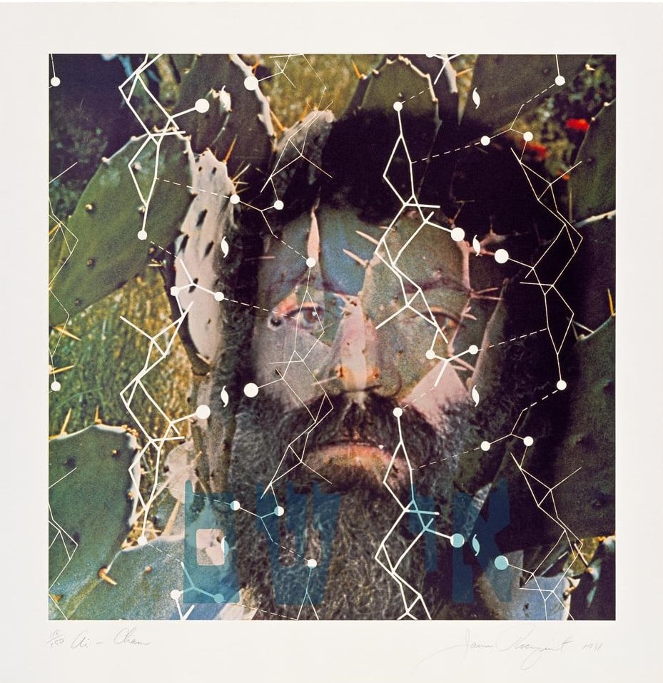 James Rosenquist - Ai Cham: Artist: James RosenquistTitle: Ai ChamYear: 1981Dimensions: 34in. by 33in.Edition: From the Rare Limited EditionPublisher: Rosebranches IncSuite: High Technology and MysticismMedium: Lithograph in