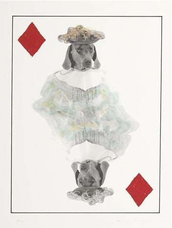William Wegman - Jack of Diamonds (1 of 1)