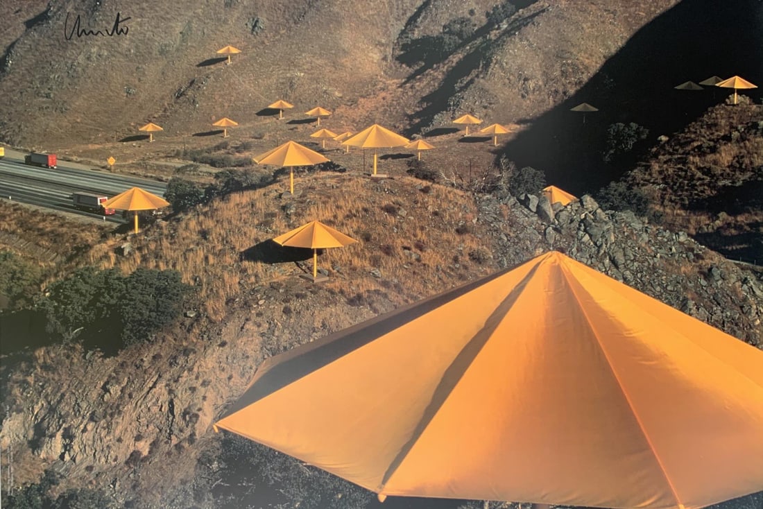 Christo - The Umbrellas (1 of 1)