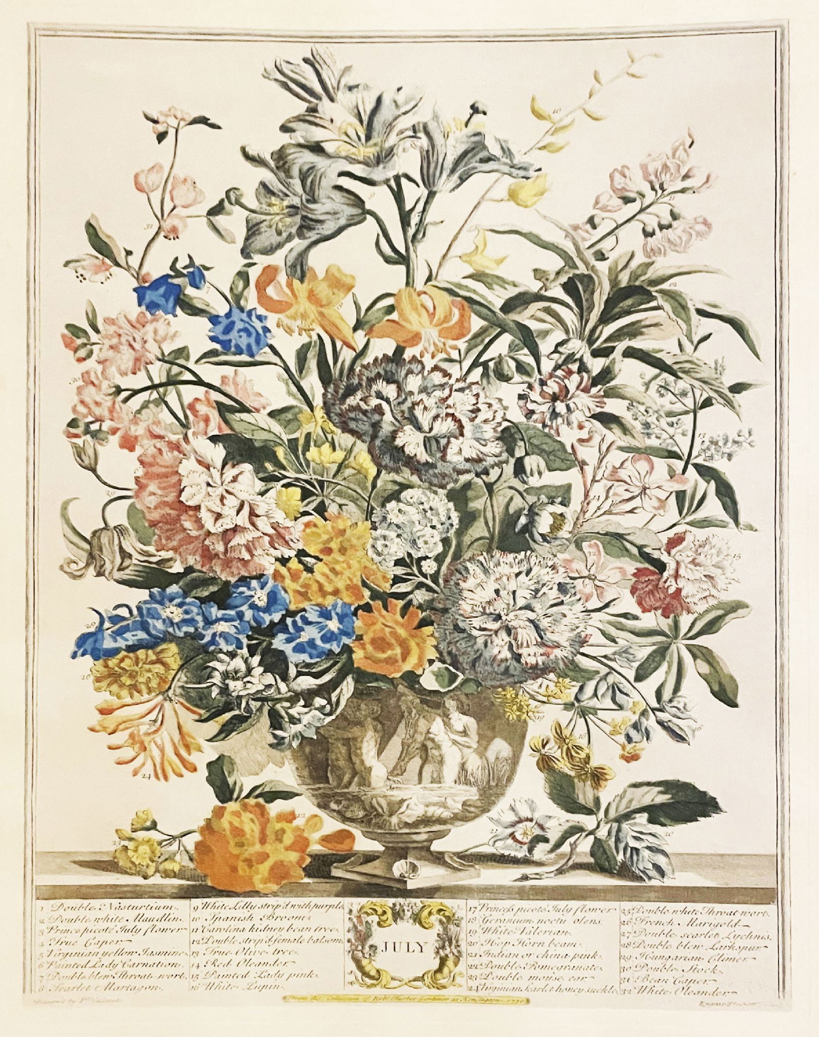 Henry Fletcher - July From The Twelve Months of Flowers (1 of 2)