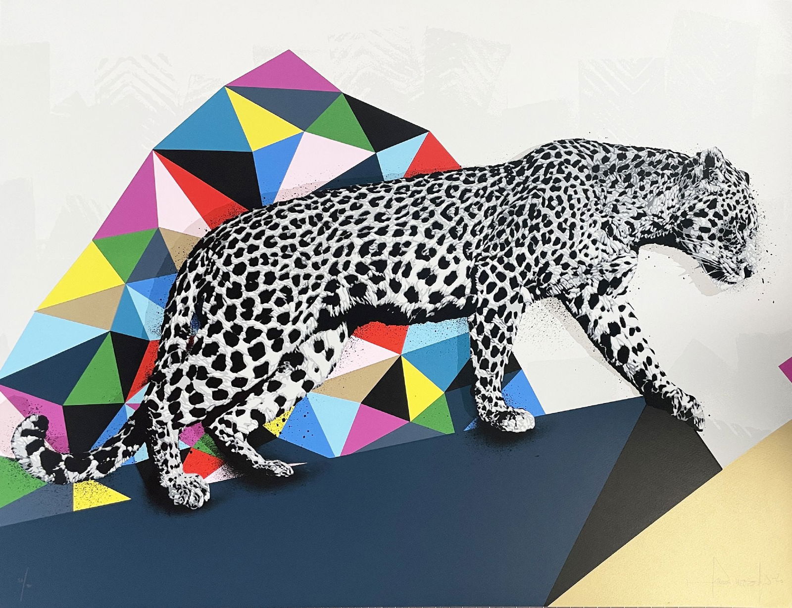 Hama Woods - Leopard Walking (1 of 1)