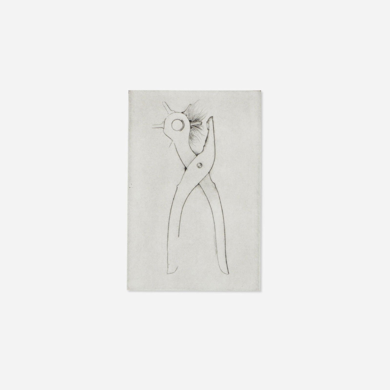 Jim Dine - Hole Punch: Artist: Jim DineTitle: Hole PunchYear: 1972Dimensions: 31 7/8 x 22 1/8 in.Edition: From the rare limted edition of AP of 10Publisher: Petersburg Press, LondonSuite: 30 Bones of My BodyMedium: