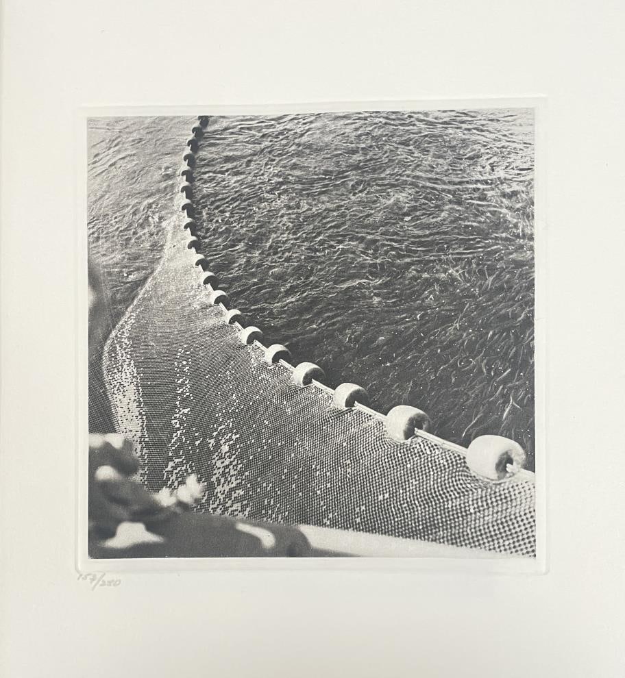 Joseph Mitchell - Untitled III (1 of 1)