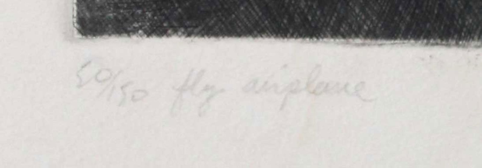 Tom Palmore - Fly Plane - 2