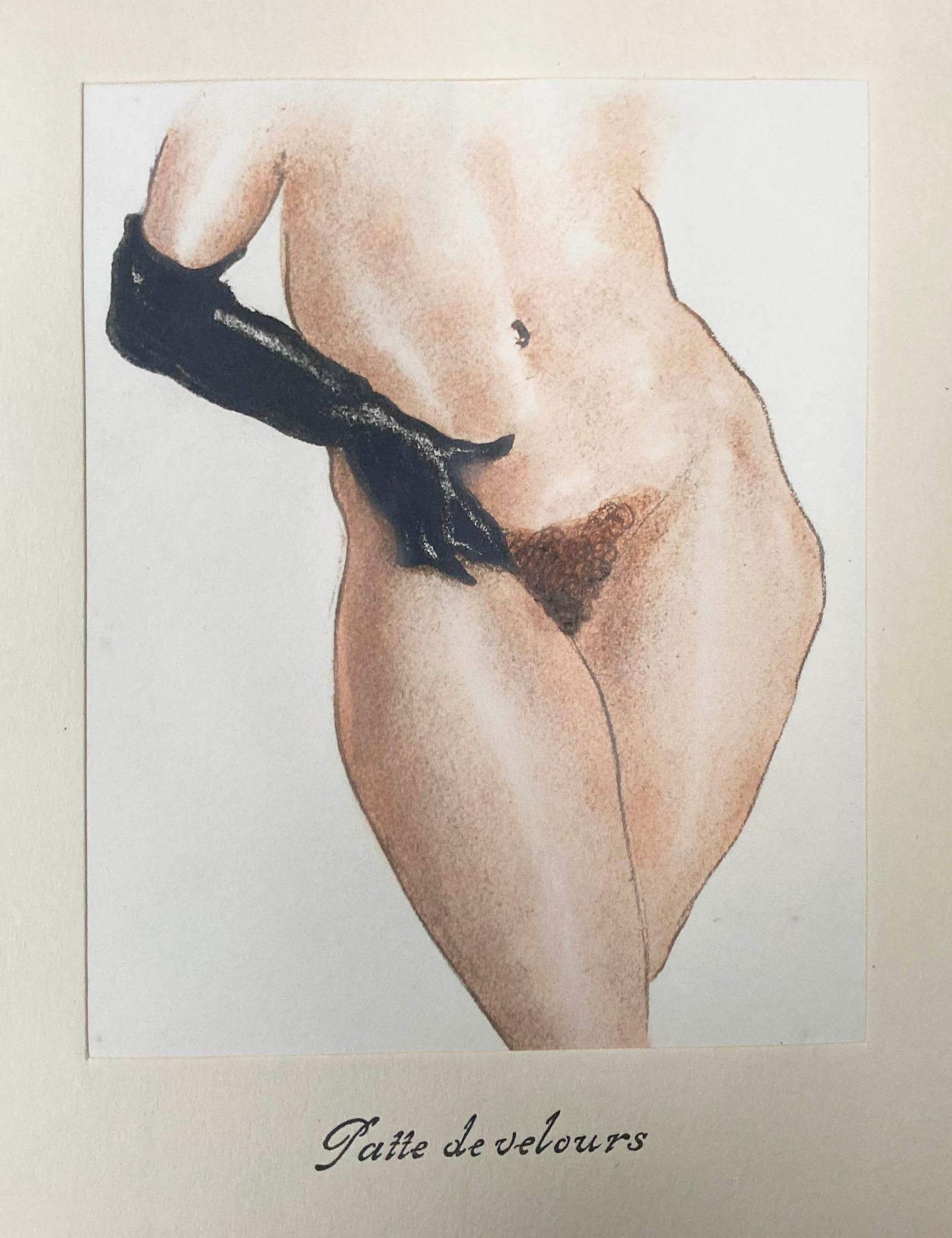 Edouard Chimot - Palle de Velours: Artist: Edouard ChimotTitle: Palle de VeloursYear: 1932Dimensions: 6 1/4in. by 8in.Edition: From the rare limited edition of 250Suite: Les ChatsMedium: Original Condition: ExcellentNotes: Originally