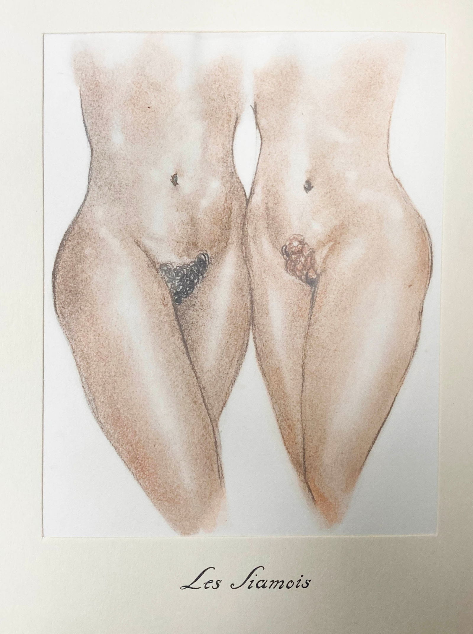 Edouard Chimot - Les Siamois (1 of 1)