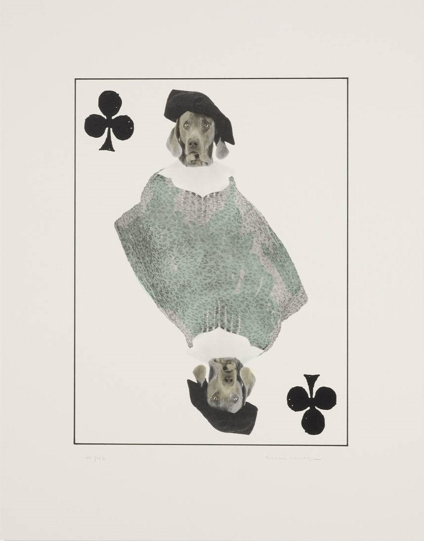 William Wegman - Royal Flush: Jack Of Clubs: Artist: William WegmanTitle: Royal Flush: Jack Of ClubsYear: 1998Dimensions: 25 1/2 x 20 in.Edition: 40 from the limited edition of 40Publisher: Segura Publishing Company, TempeRoyal Flush: