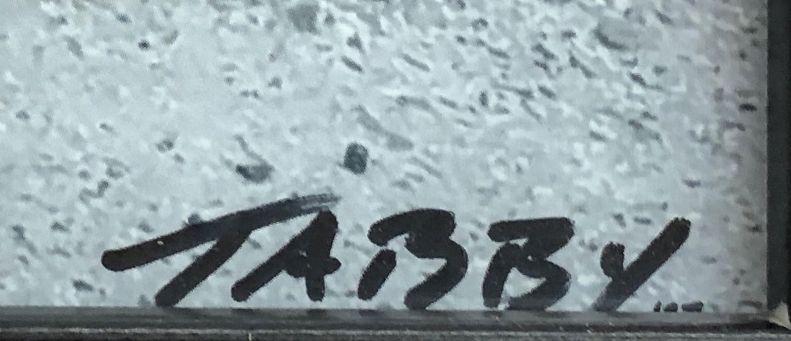 TABBY - Computer Mouse - 2