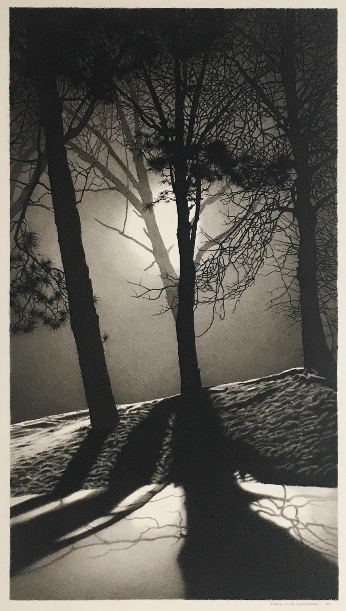 David Scott Armstrong - Equinox 11 (1 of 1)